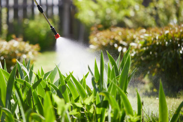 Tamper-Resistant Bait Stations for Rodents in Holliday